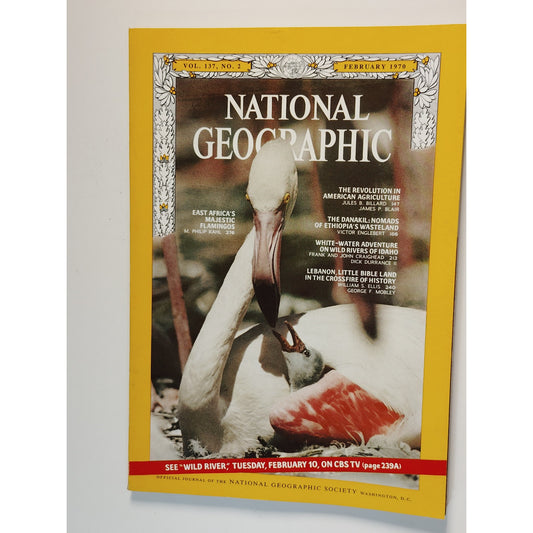 National Geographic Magazine Feb. 1970, Lebanon Conflict, East Africa Flamingos