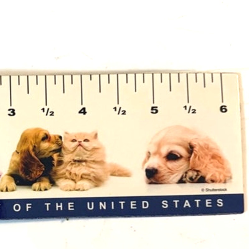 Animal Humane Society Magnetic Ruler Fridge Magnet Puppies Kittens HSUS 6.5x2