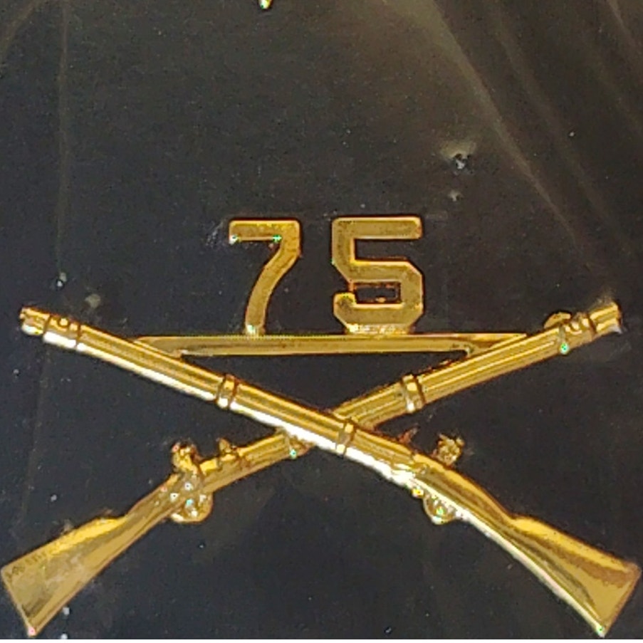 75th Ranger Regiment Infantry Novelty Hat/Lapel/Brooch Pin, Enamel Metal