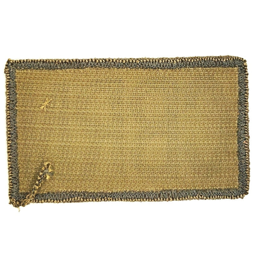 Army CBRN (Chemical, Biological, Radiological, and Nuclear) Patch, OCP Hook Back