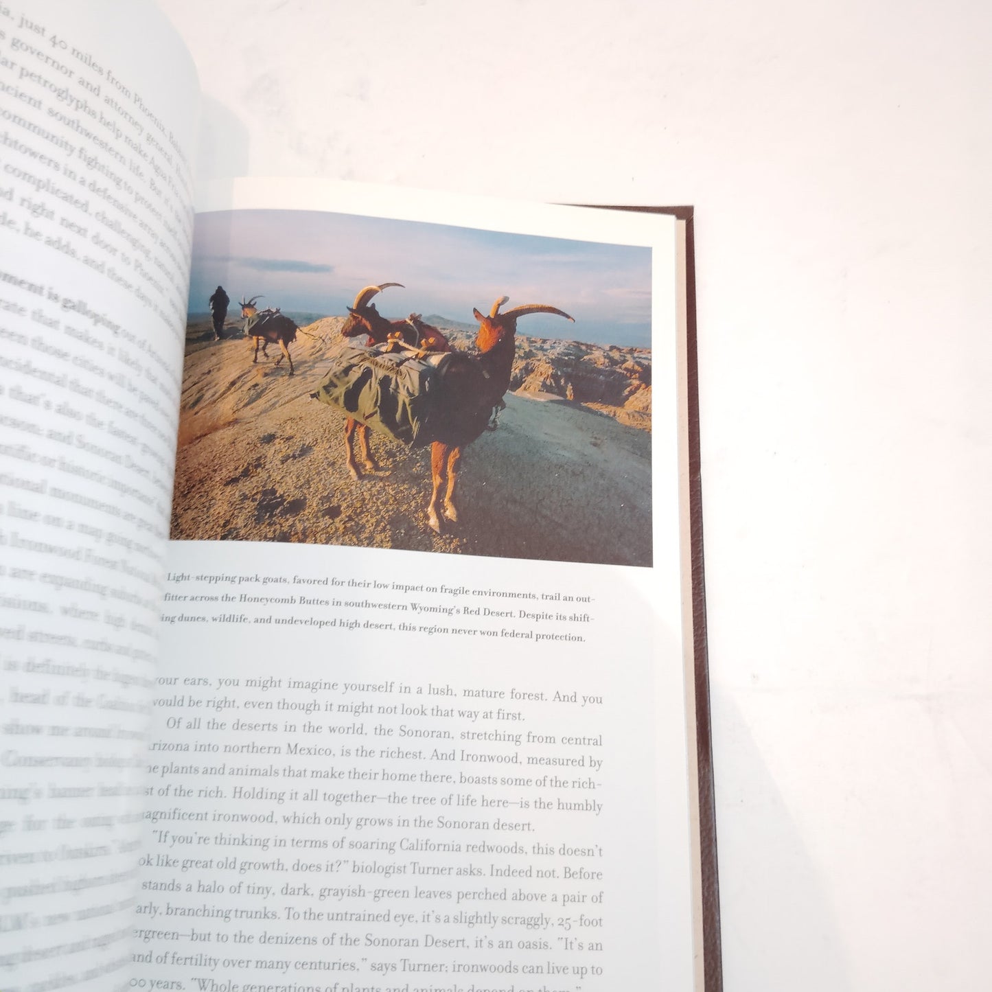 Wildlands of the West National Geographic Book - Leslie Allen, 2002 Hardcover