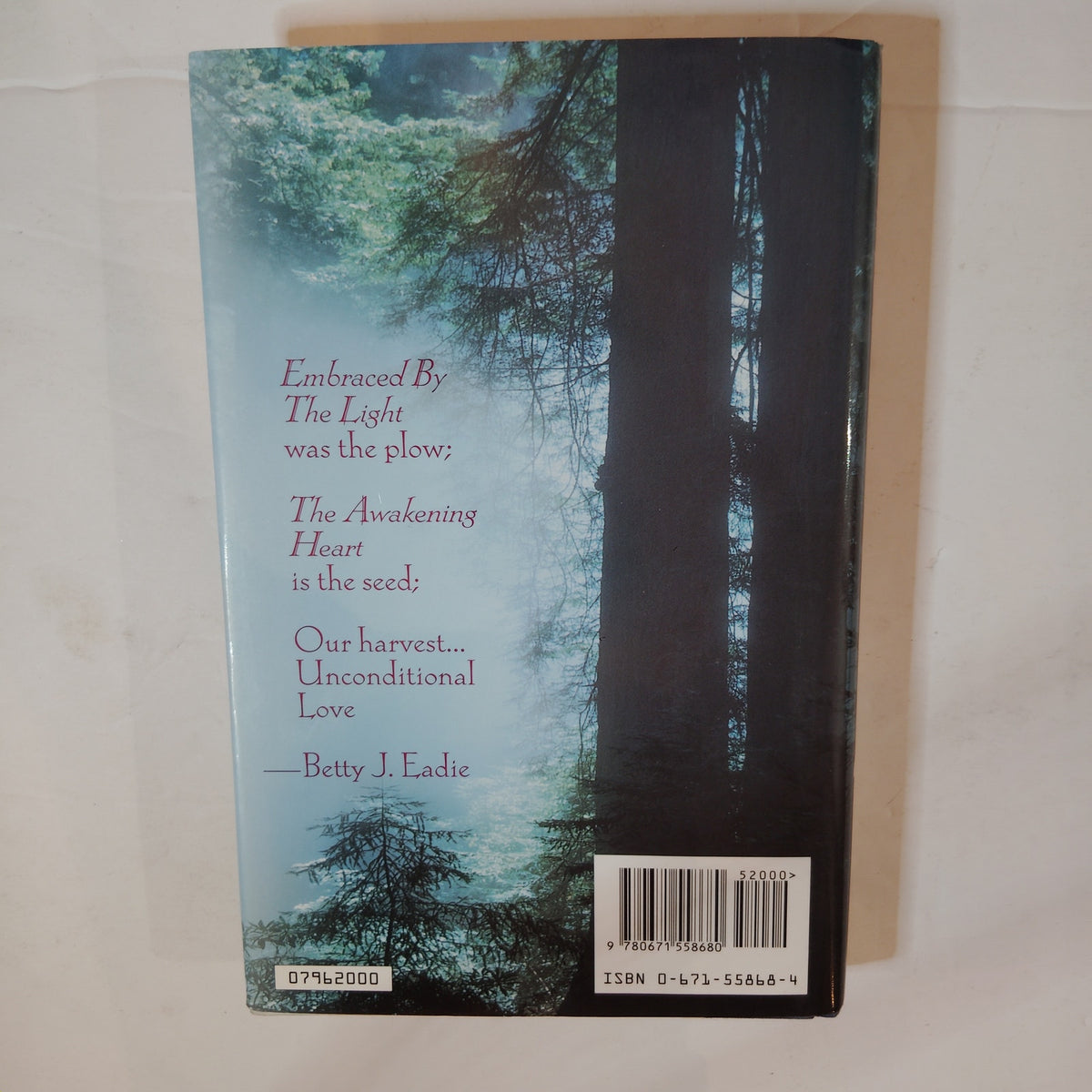 The Awakening Heart - Betty J. Eadie 1996 Hardcover 1st Edition Spiritual
