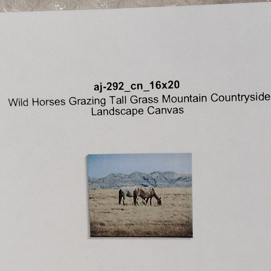 20x16 Grazing Wild Horses Stretched Canvas, Wood Frame Wall Art Design/D. Sproul