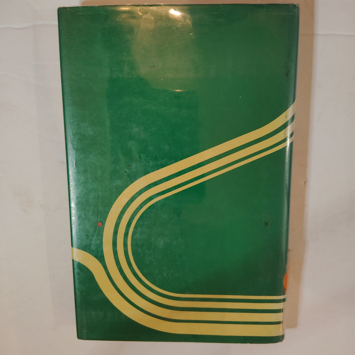 Call It Zest Vital Ingredient for Everybody Elizabeth Yates 1978 Large Print