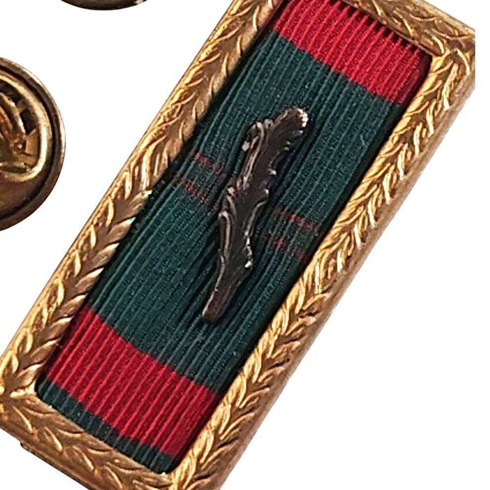 Lapel/Brooch Pin- Republic of Vietnam Civil Action Unit Citation w/ 1 Palm Leaf