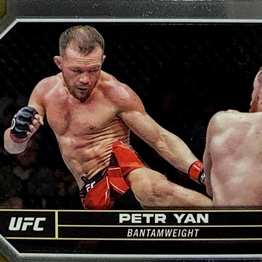 Peter Yan, UFC Bantamweight, Card 156, 2024 Topps Chrome UFC, NM+
