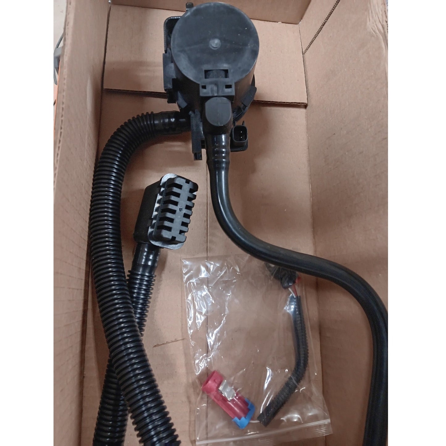 Carquest MotoRad Canister Purge Solenoid – CPP1005, OE Emissions Control Valve