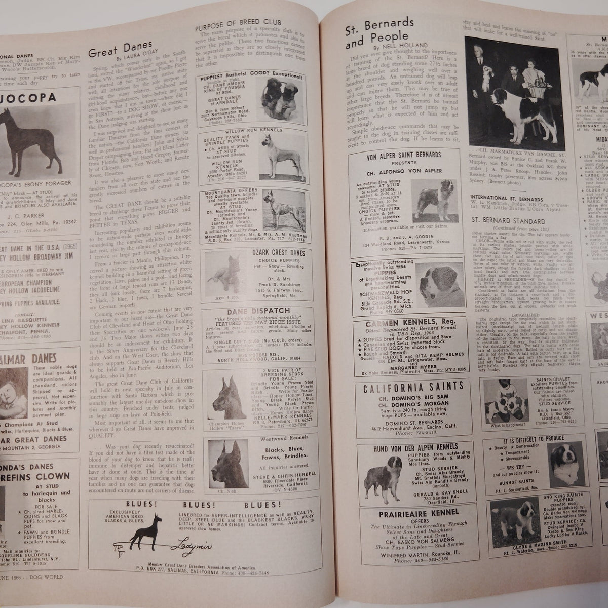 Dog World Magazine June 1966 Special Standards Issue 132 Breeds Lhasa Apso