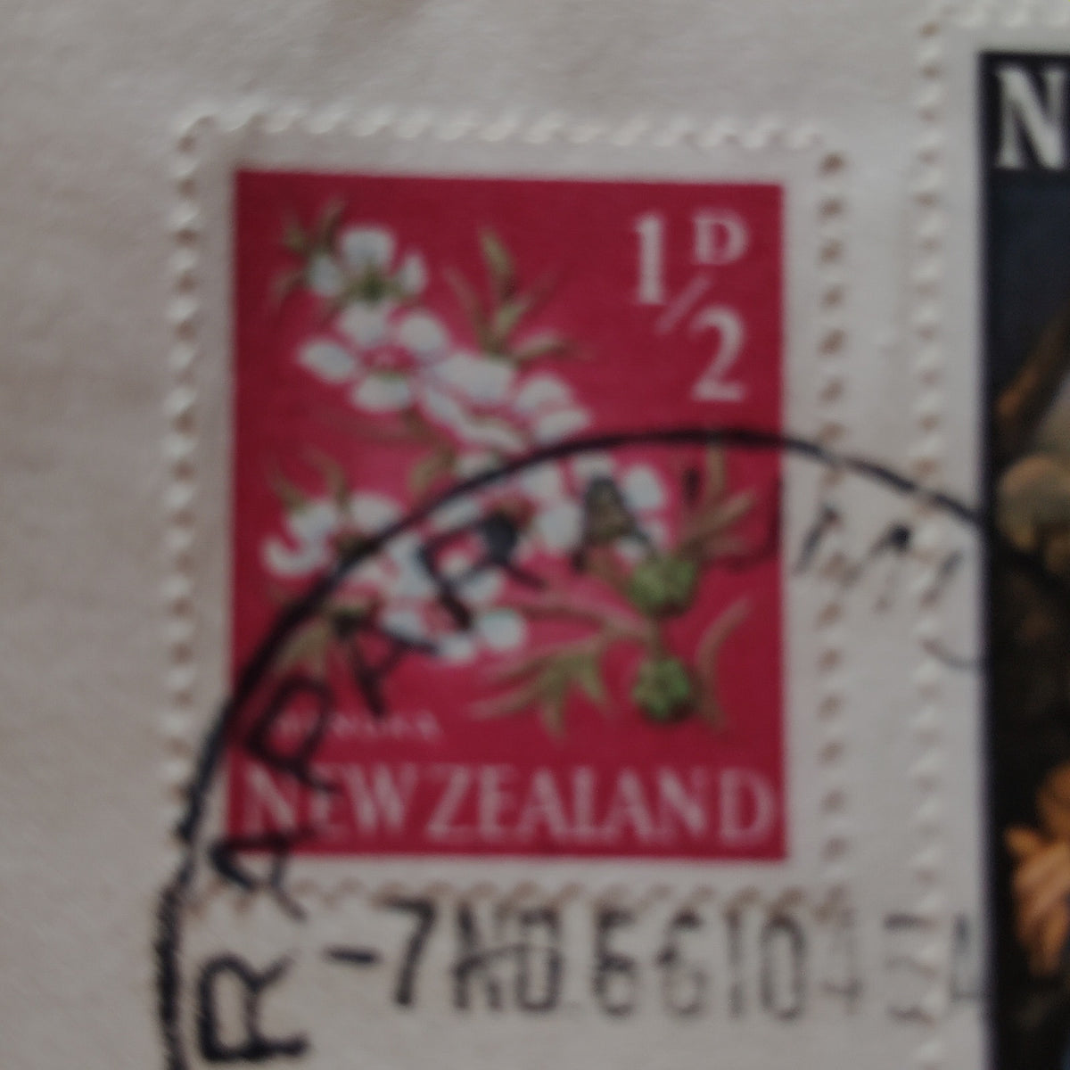 Vintage New Zealand 1966 Christmas Cover 3d Maratta & 1/2d Manuka Postmarked