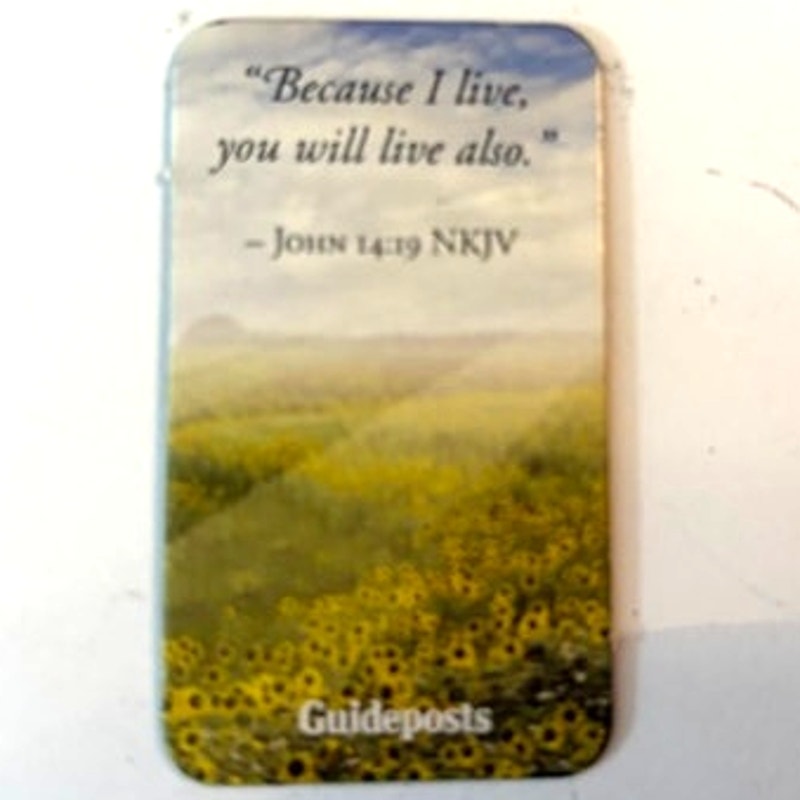 Christian Scripture Fridge Magnet John 14:19 Wildflower Meadow Guideposts 2x1.25