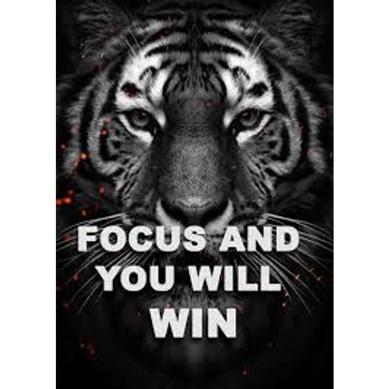 Focus and You Will Win Tiger Wall Art Motivational Gym Office Decor 15.6x11.8"