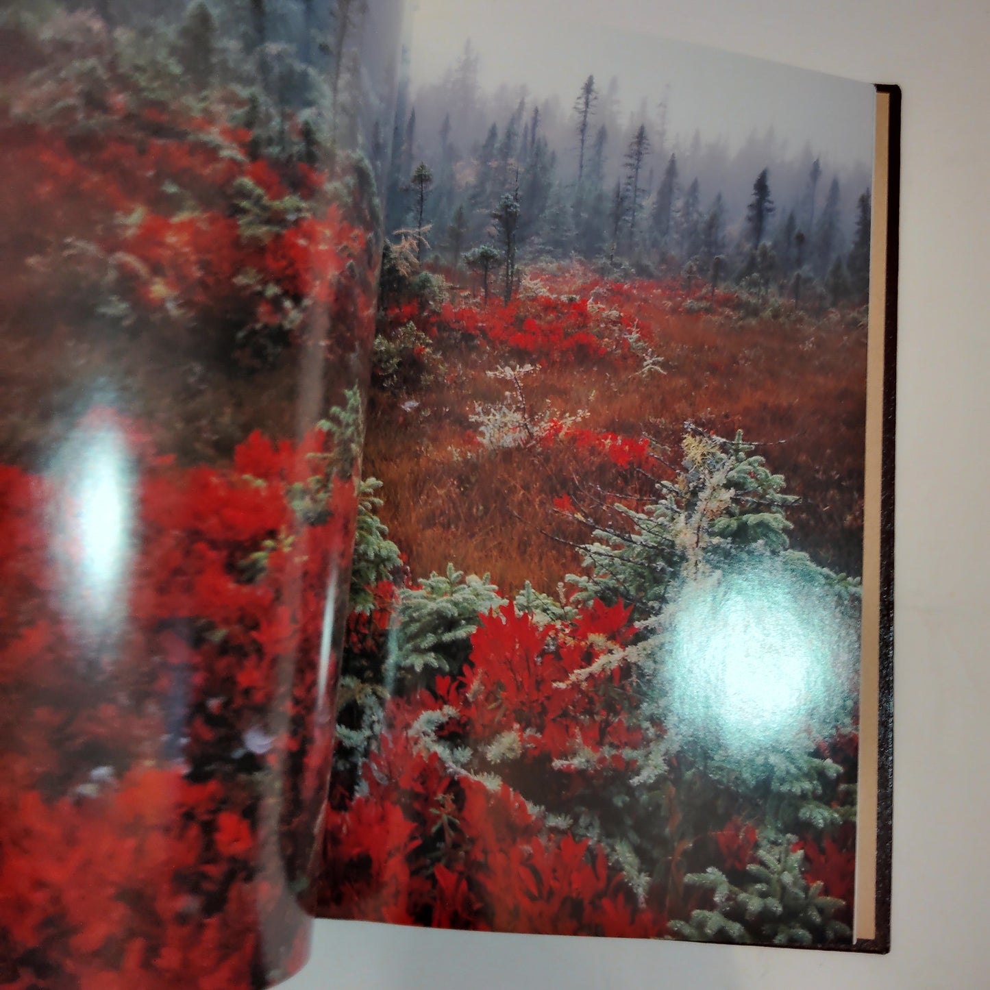 Kim Heacox Visions of a Wild America Pioneers of Preservation VTG 2001 HC