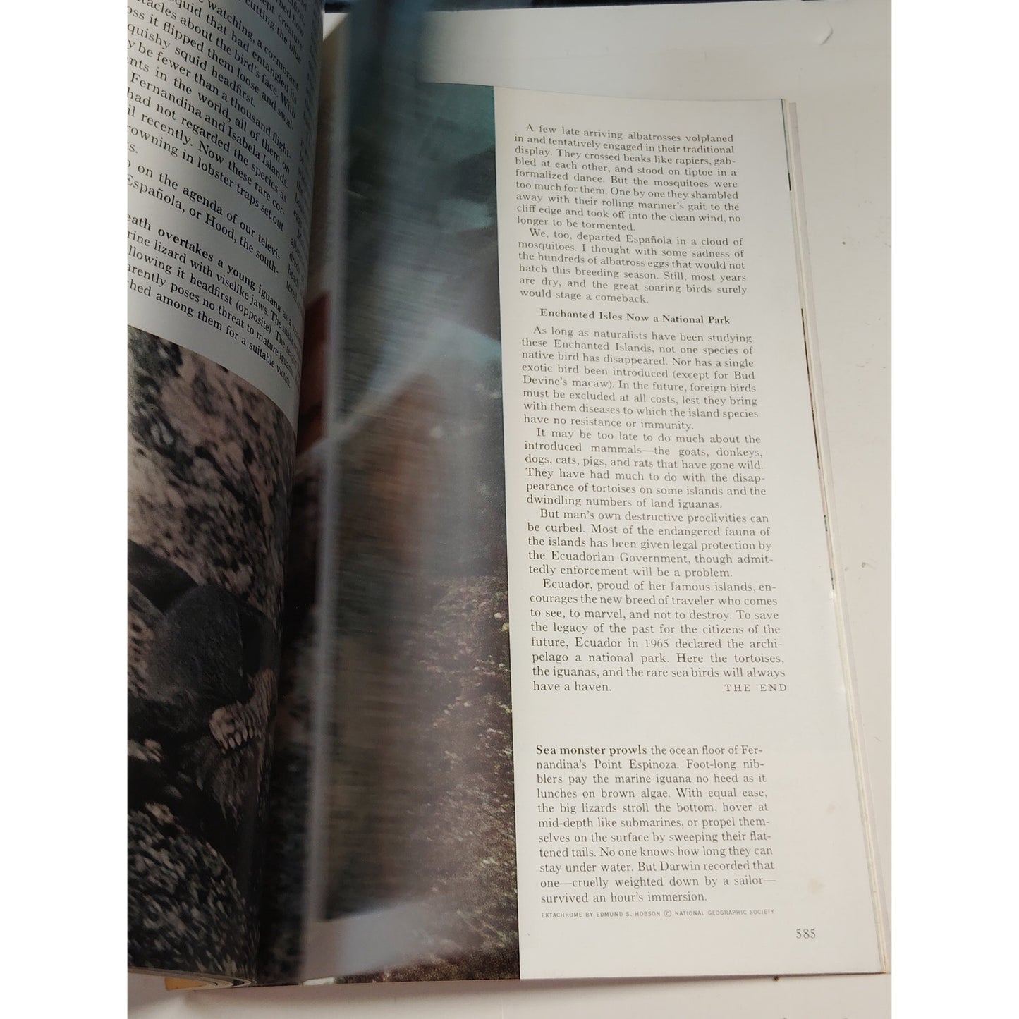National Geographic Magazine – April 1967 | The Rhine, Galapagos & Athens