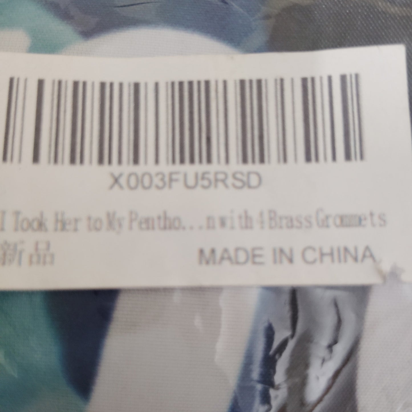 “I Took Her To My Penthouse and I Freaked It” Flag 3x5 Ft – Funny Meme Tapestry Flag