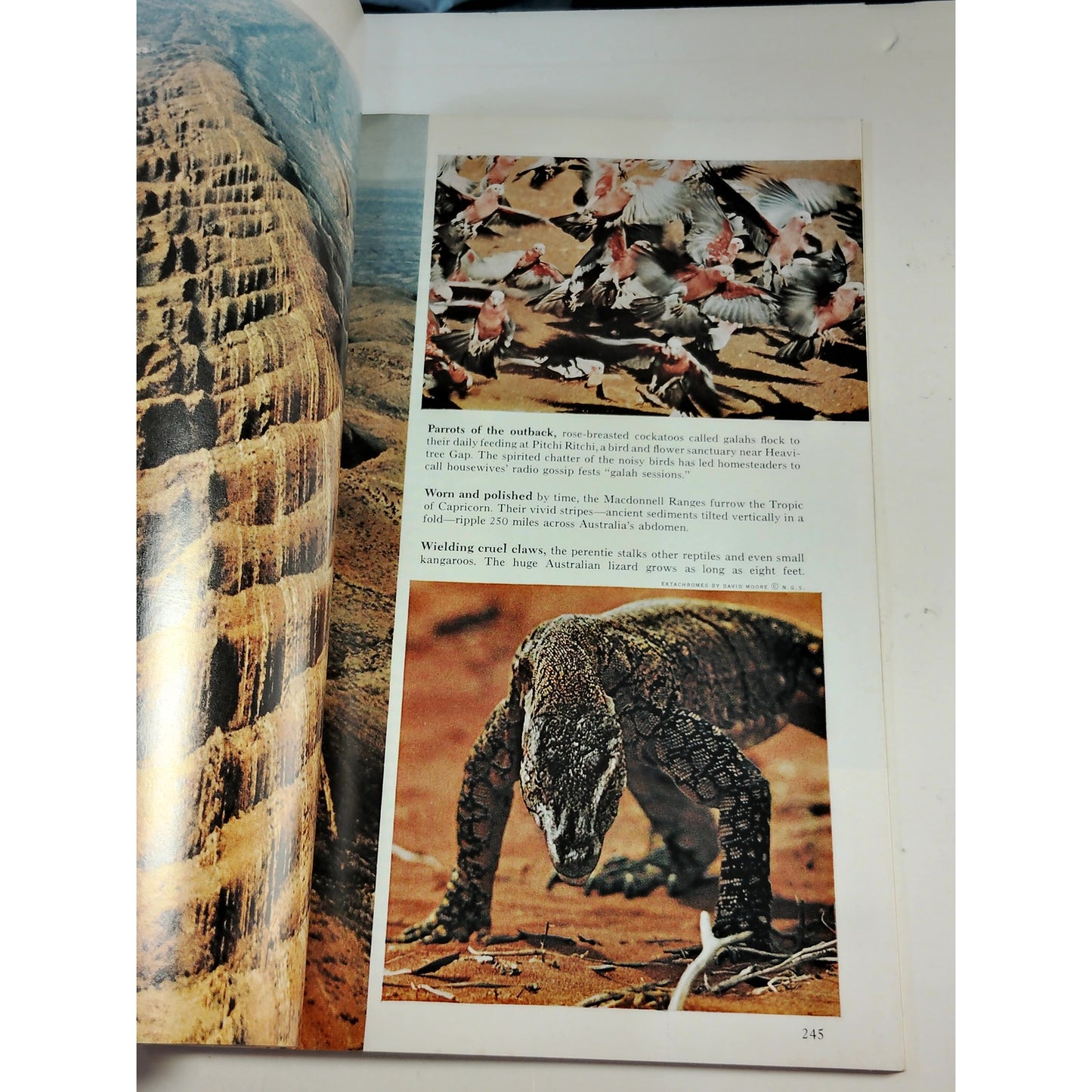 National Geographic – February 1966 | Bolivia, Vietnam War & St. Augustine