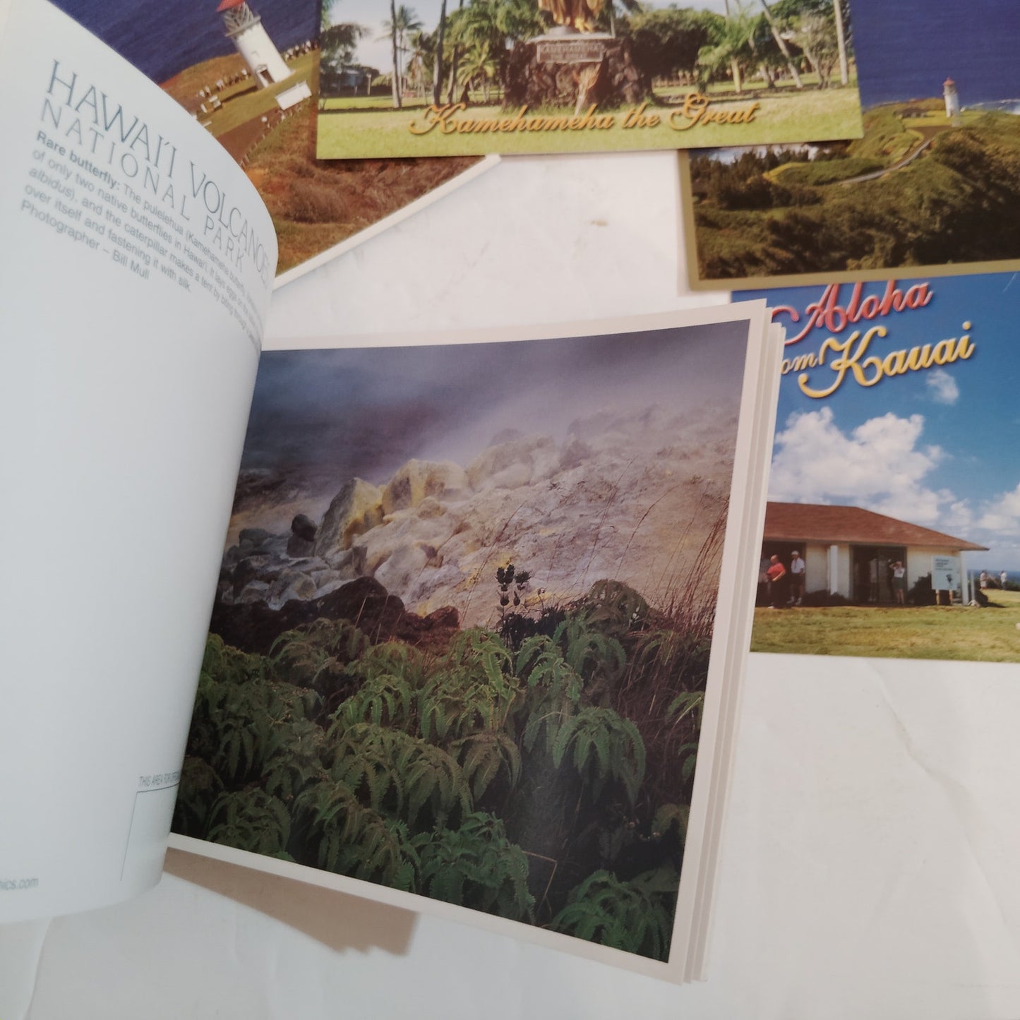 Vintage 2008 Hawaii Postcard Collection & Souvenir Postcard Book - 33 Unique Pcs