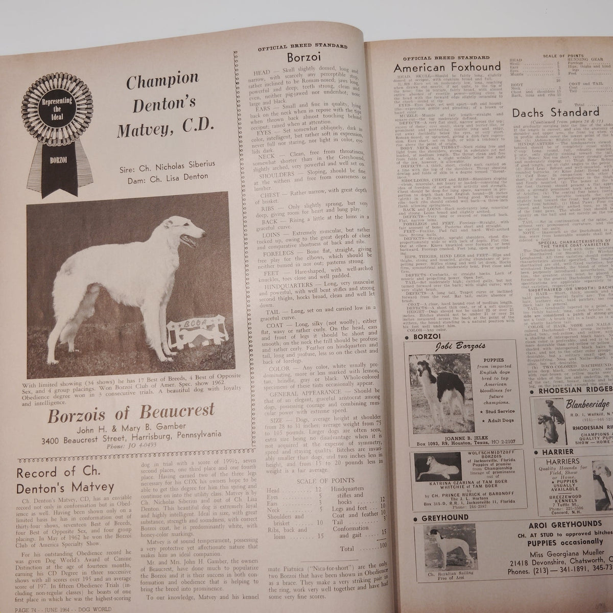 Dog World Magazine June 1964 Special Standards Issue 132 Breeds Vintage