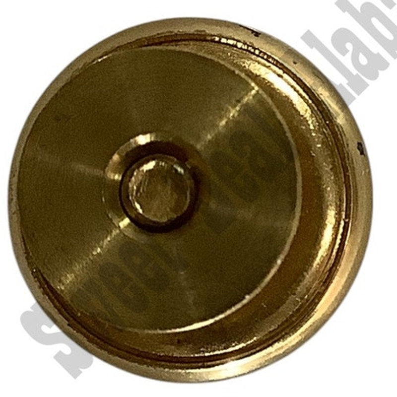 Waterbury Company Brass Screw-On Button with Back Featuring Eagle Seal, 5/8"D