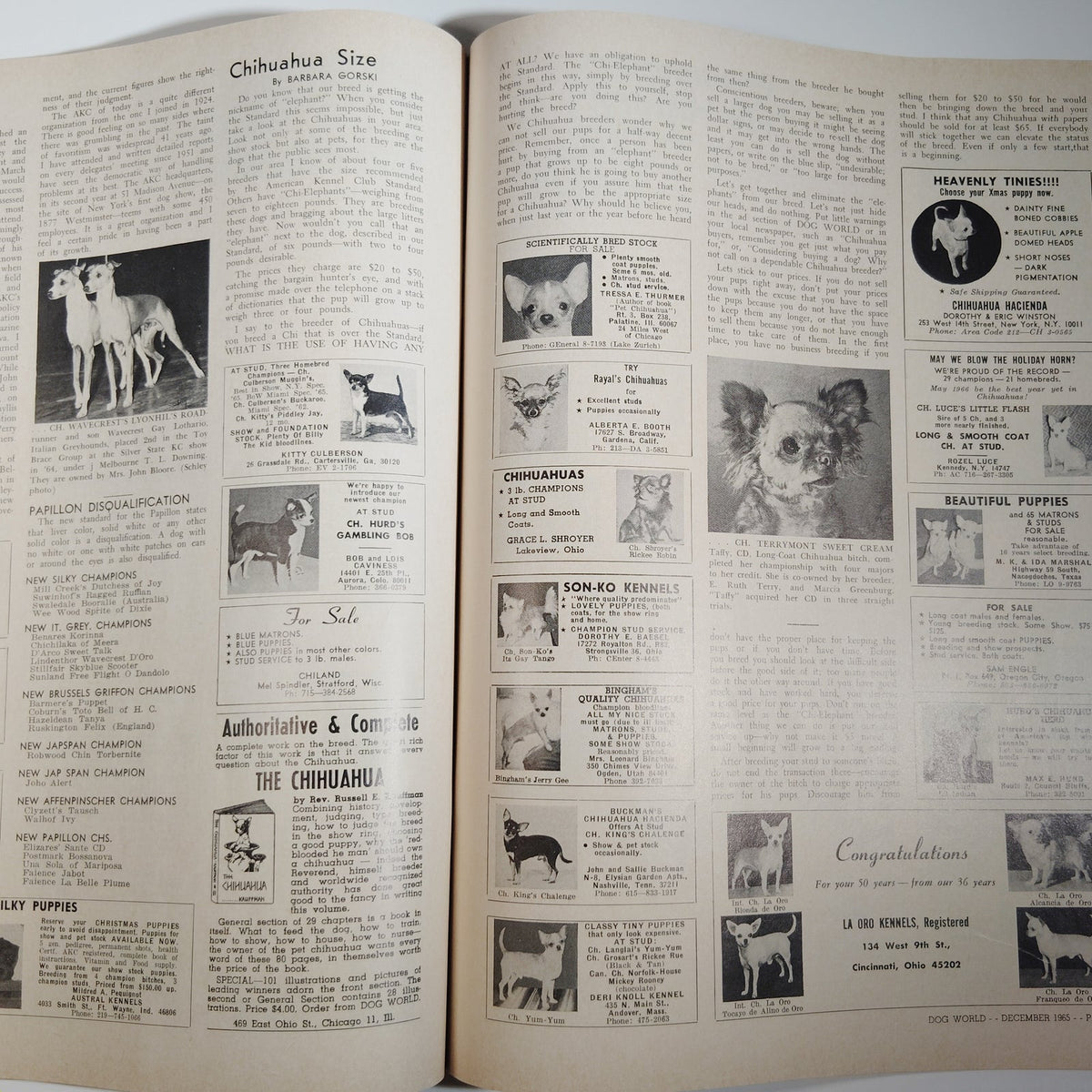 Dog World Magazine December 1965 50th Anniversary Bulldog Cover Vintage