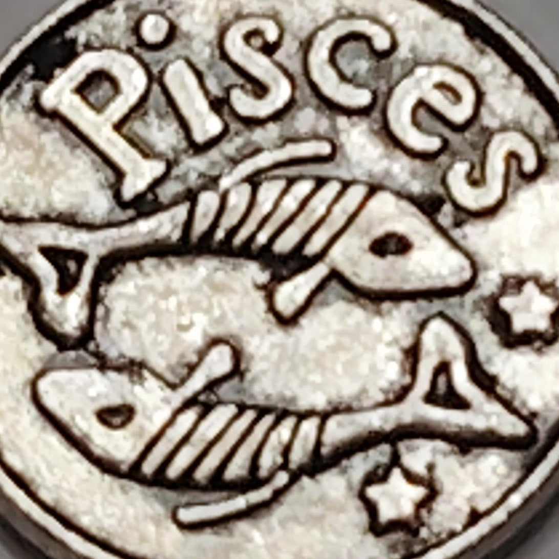 Pisces Zodiac Charm Patinated Silver‑Tone Two‑Fish Design 5/8" Medallion Pendant