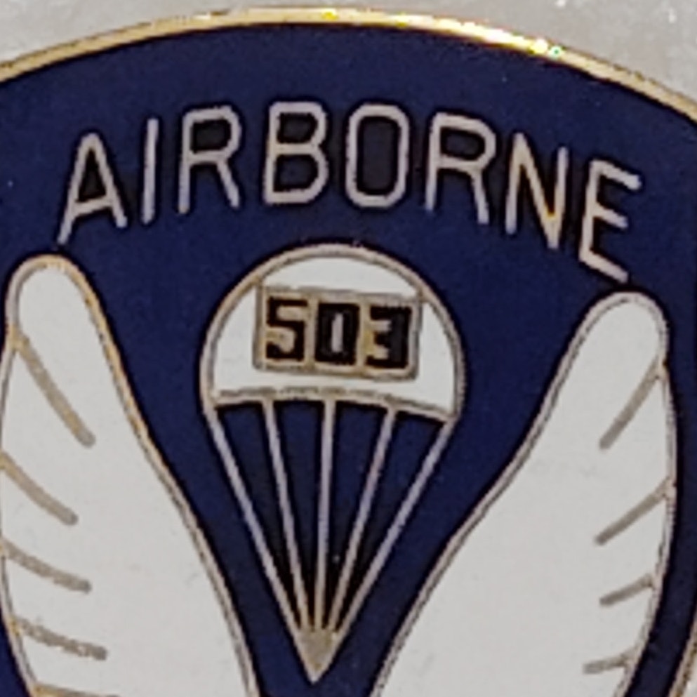 503rd Airborne Infantry "The Rock" Novelty Hat/Lapel/Brooch Pin, Enamel Metal