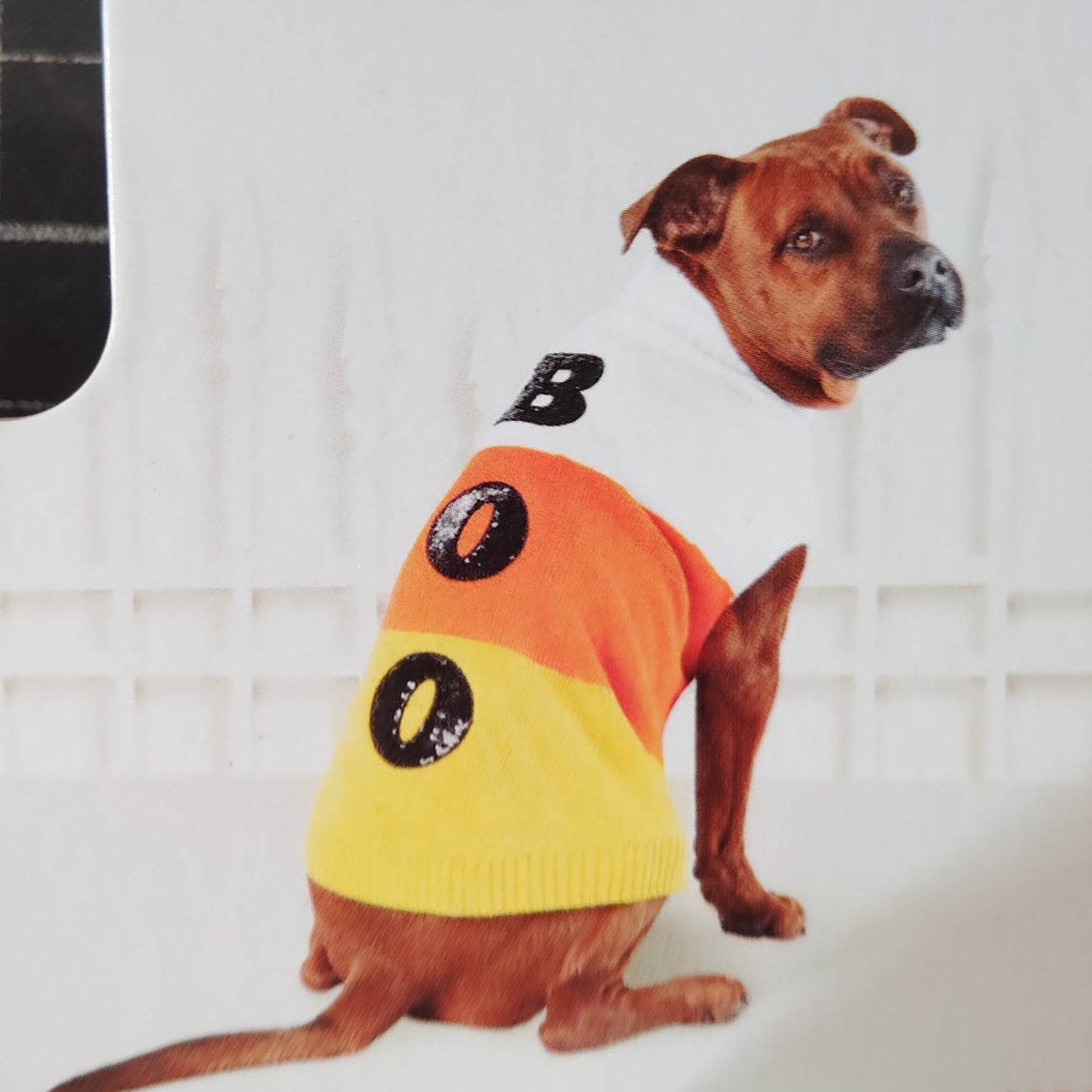 Hyde & EEK! Boutique Halloween Candy Corn Boo Dog Sweater – Medium