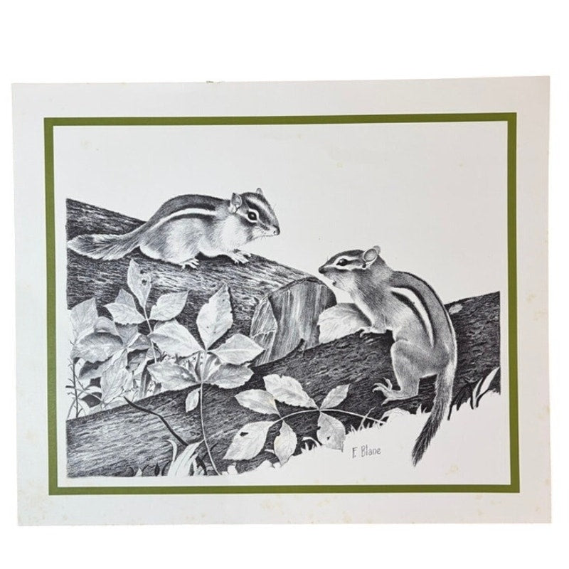 Vintage 1970's F. Blaine Chipmunks Print - Nature Wildlife Art - 16" x 13.5" B&W