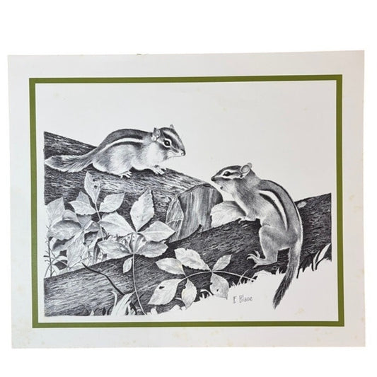 Vintage 1970's F. Blaine Chipmunks Print - Nature Wildlife Art - 16" x 13.5" B&W