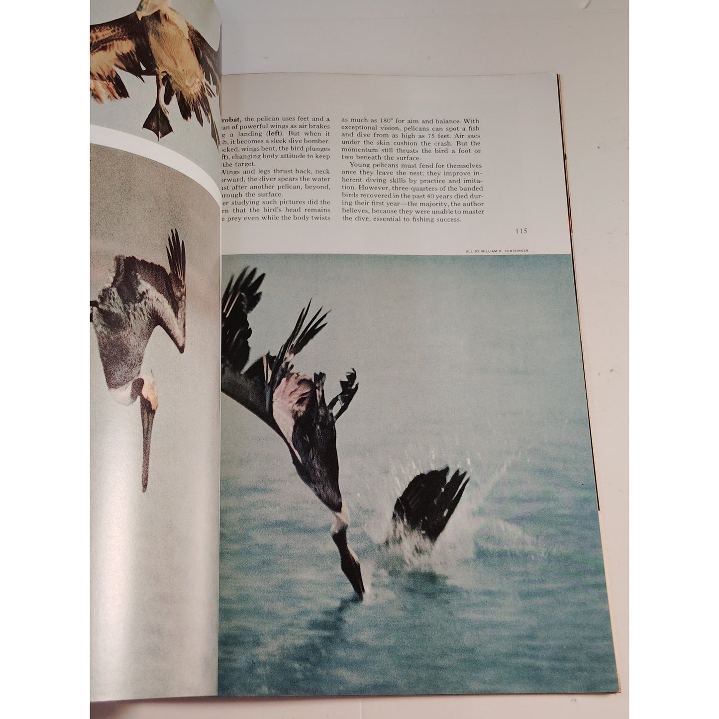 National Geographic – January 1975, Iran, Civil War Shipwreck, Ice Age Man
