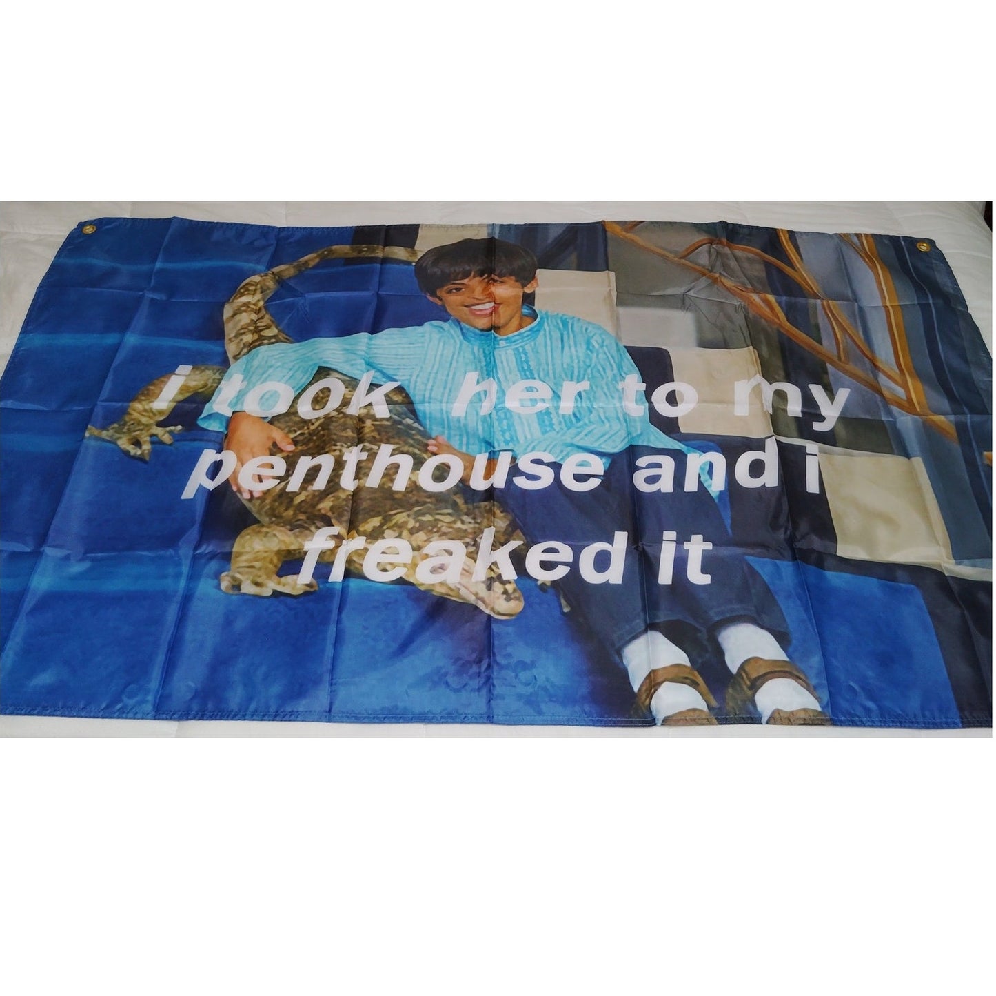 “I Took Her To My Penthouse and I Freaked It” Flag 3x5 Ft – Funny Meme Tapestry Flag