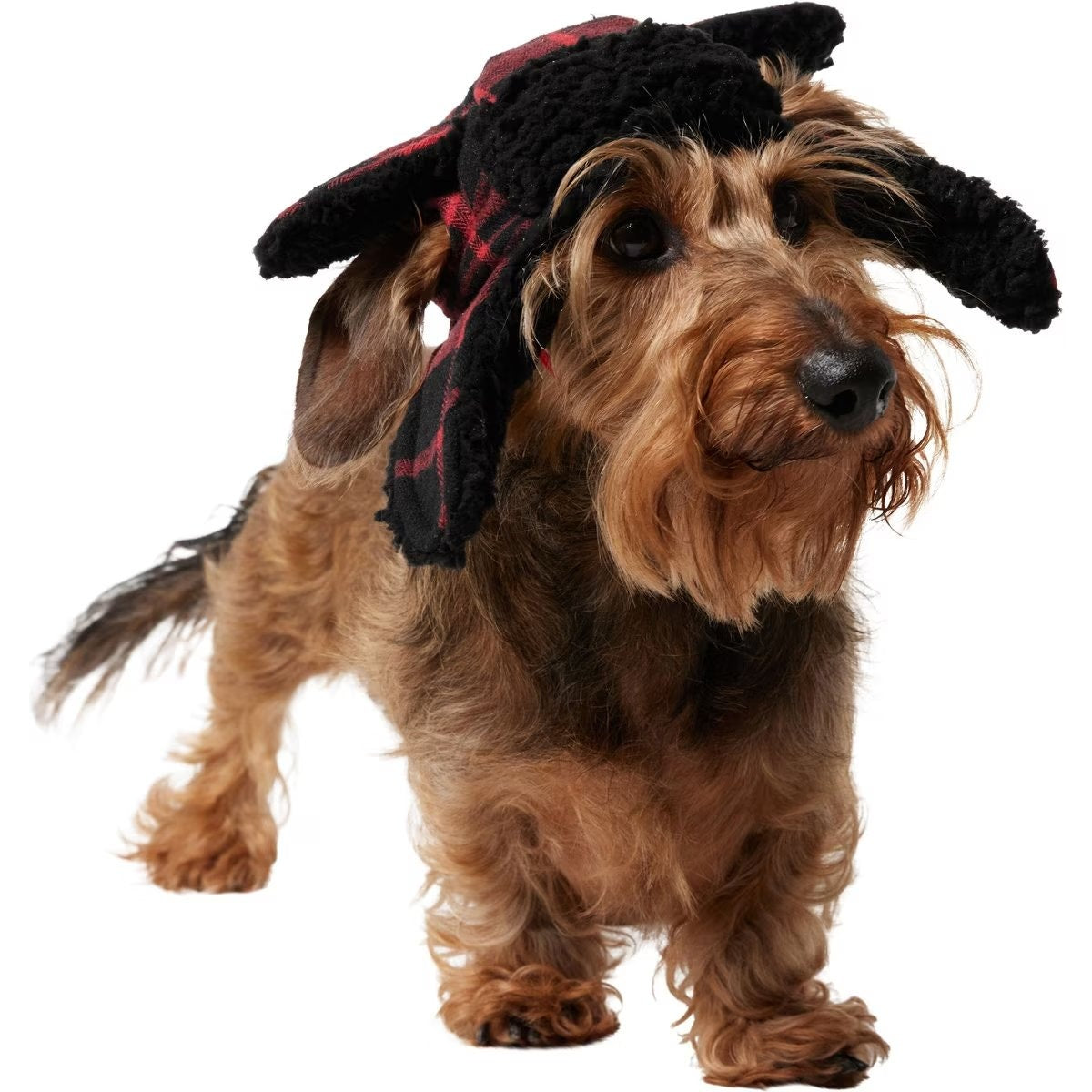 Frisco Plaid Trapper Hat for Dogs/Cats Adjustable Flannel Earflap Pet Hat XS–S