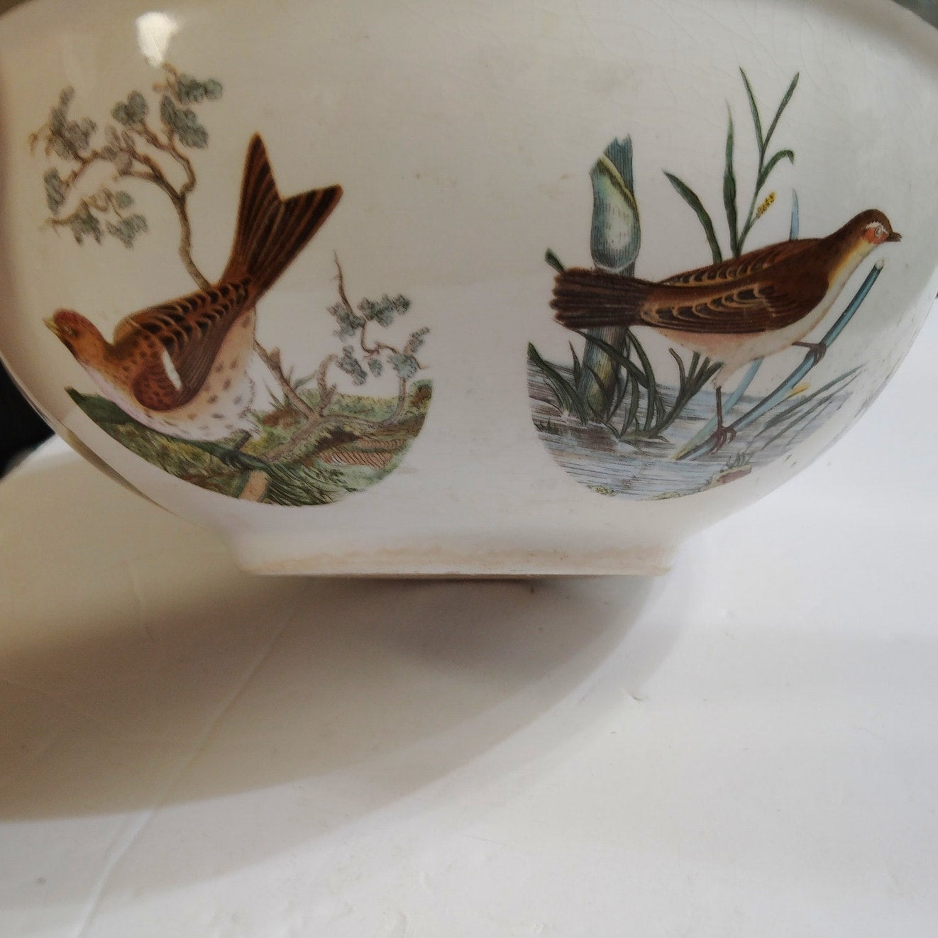 Portmeirion Birds of Britain Large 10” Fruit Salad Serving Bowl – England 1978