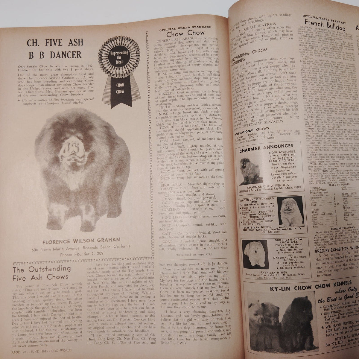 Dog World Magazine June 1964 Special Standards Issue 132 Breeds Vintage