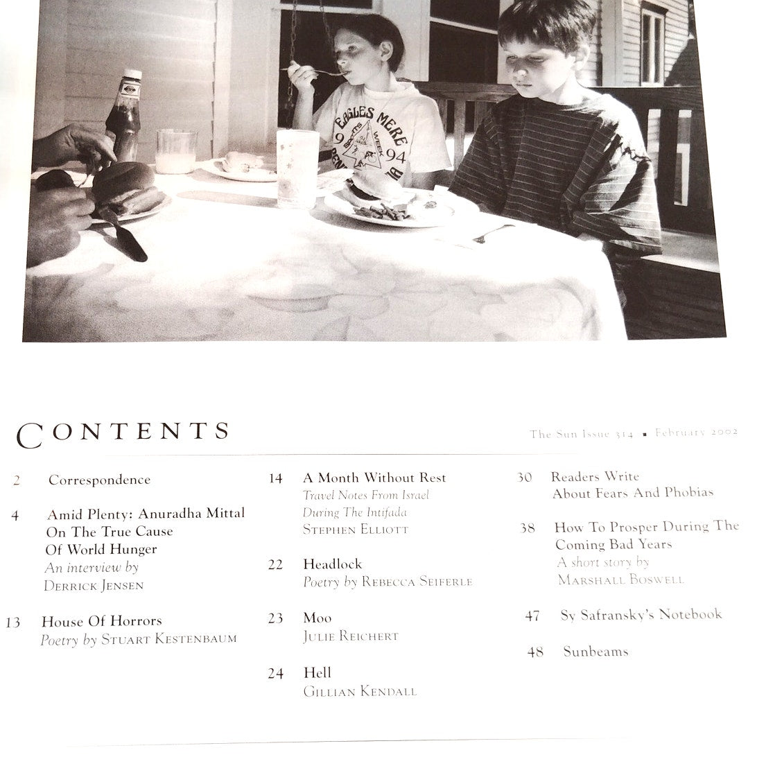 The Sun Magazine February 2002 Issue 314 – Vintage Literary Periodical