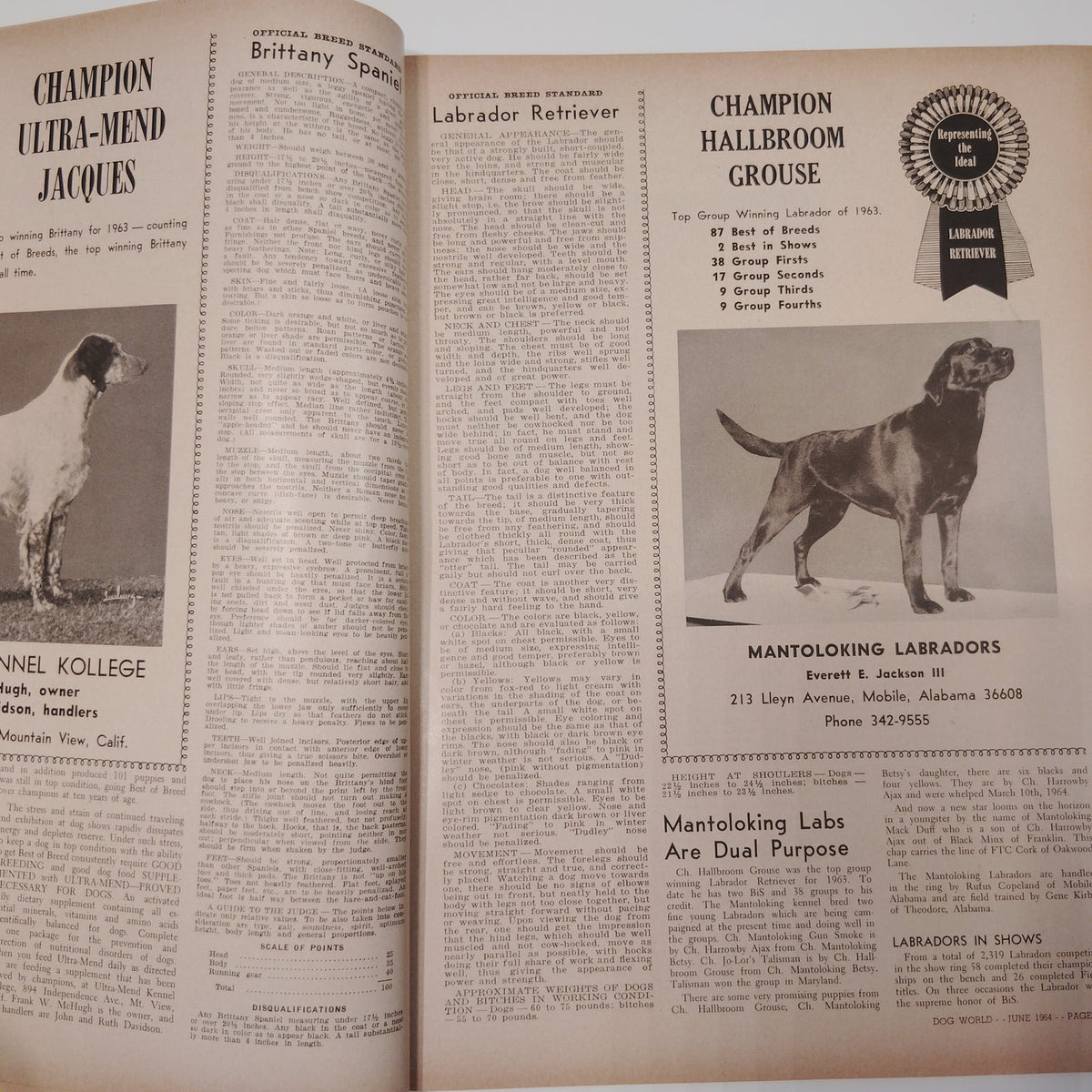 Dog World Magazine June 1964 Special Standards Issue 132 Breeds Vintage