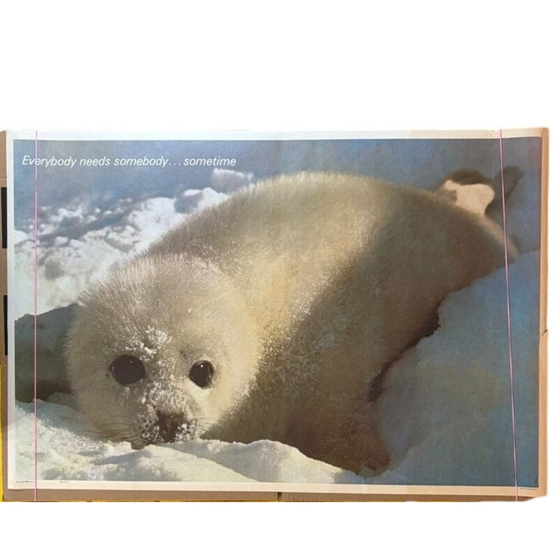 VTG 1970s Baby Seal "Everybody Needs Somebody...Sometime" 36" x 24" Poster