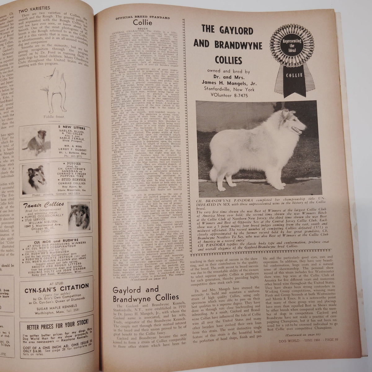 Dog World Magazine June 1964 Special Standards Issue 132 Breeds Vintage