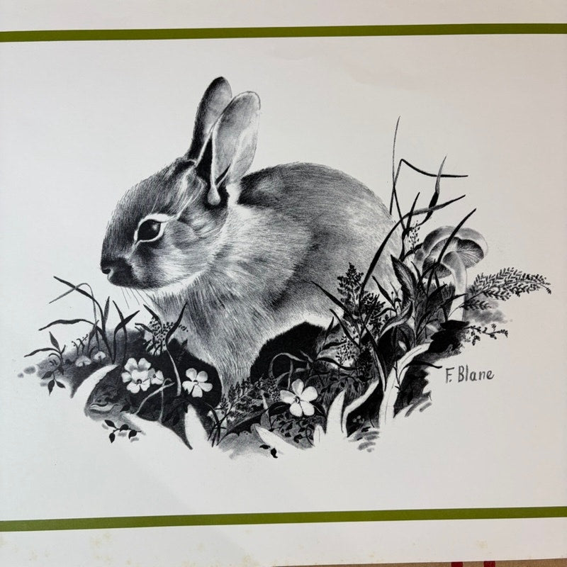 Vintage 1970s F. Blane Bunny Rabbit Art Print – Black & White, 16x13.5"