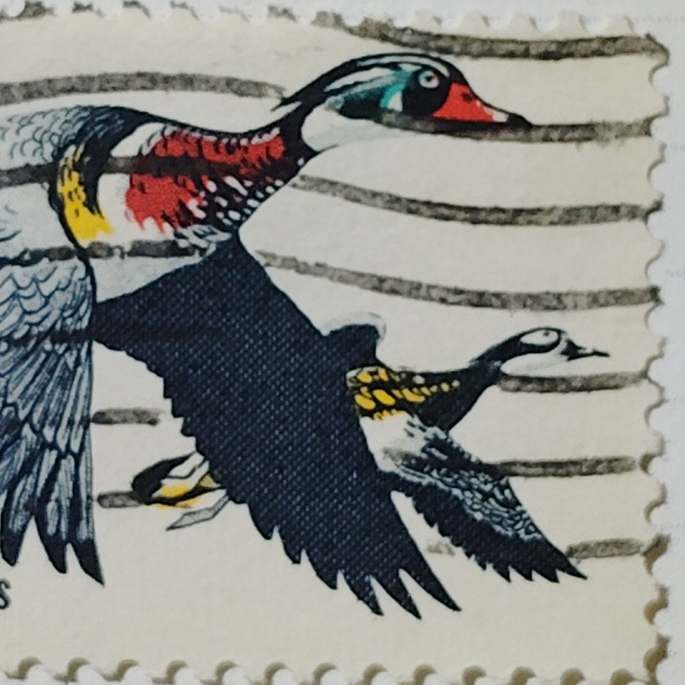 1968 US 6c Waterfowl Conservation Ducks Unlimited Stamp #1362 Used Cancelled