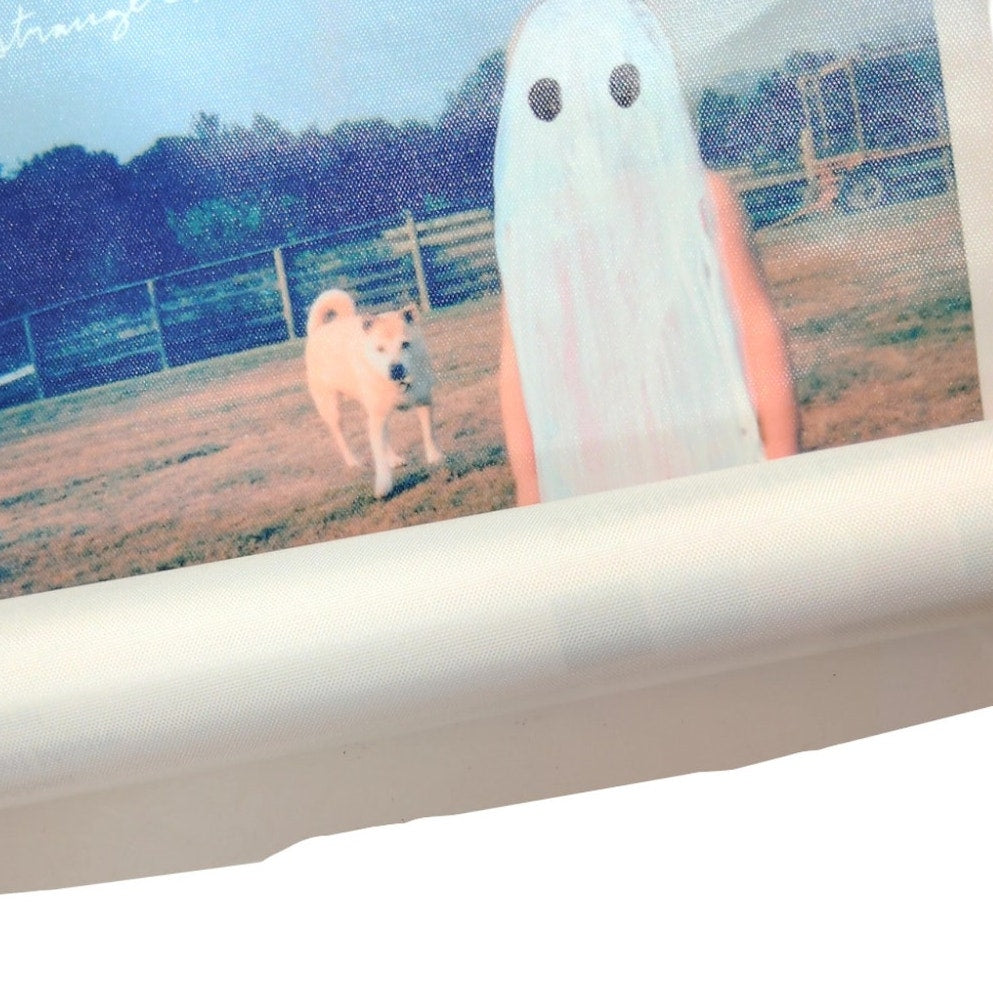 Phoebe Bridgers Poster – Stranger in the Alps Album Cover Canvas Print 12x18" Unframed Vintage Music