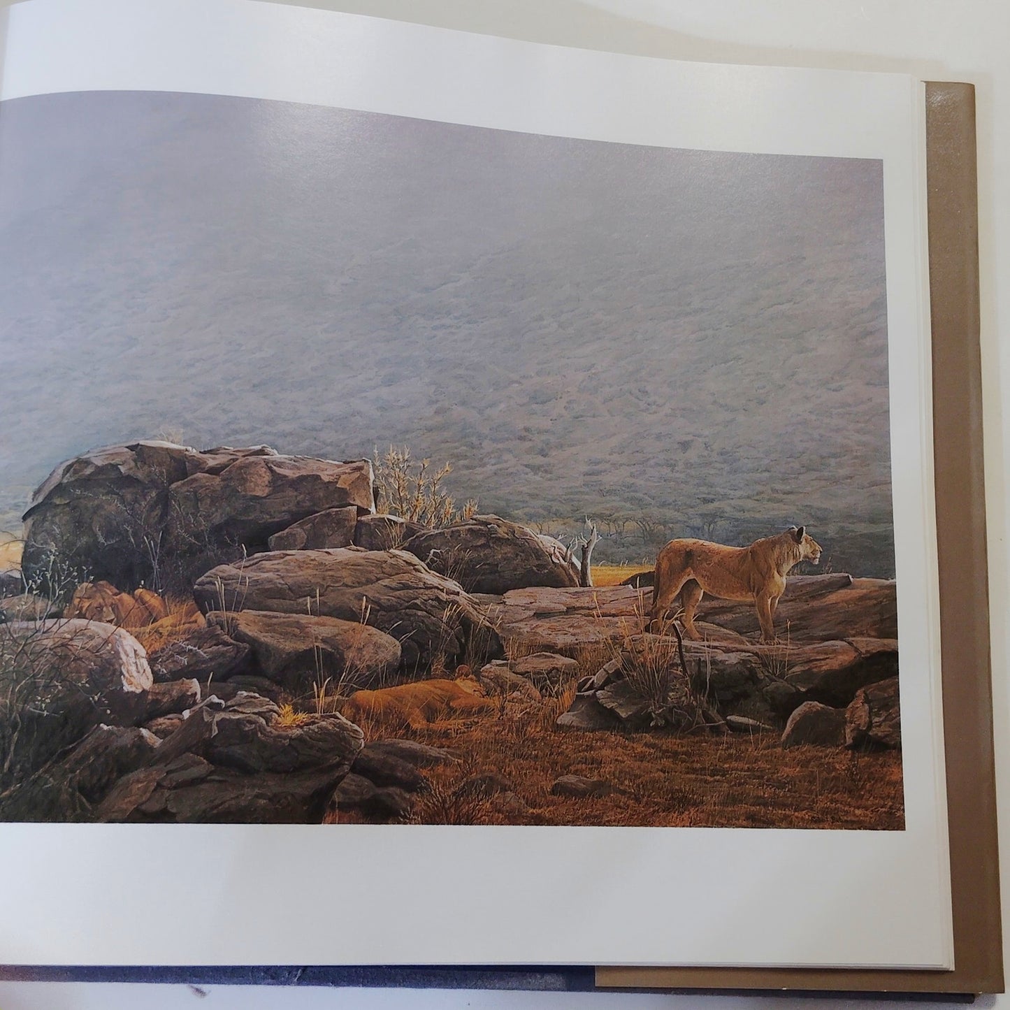 The Art of Robert Bateman 1981 Hardcover Signed Artist 12.25" x 11.5"