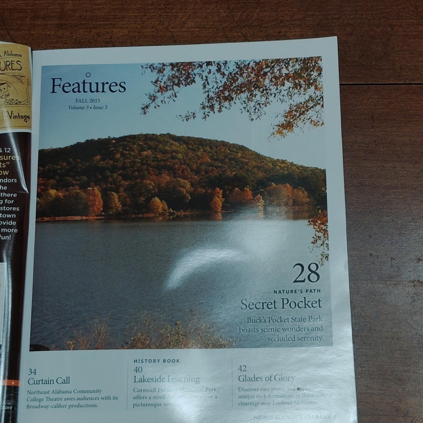 Lookout Alabama Magazine Fall 2015 "Secuded Escape" - Striking Tiger Cover