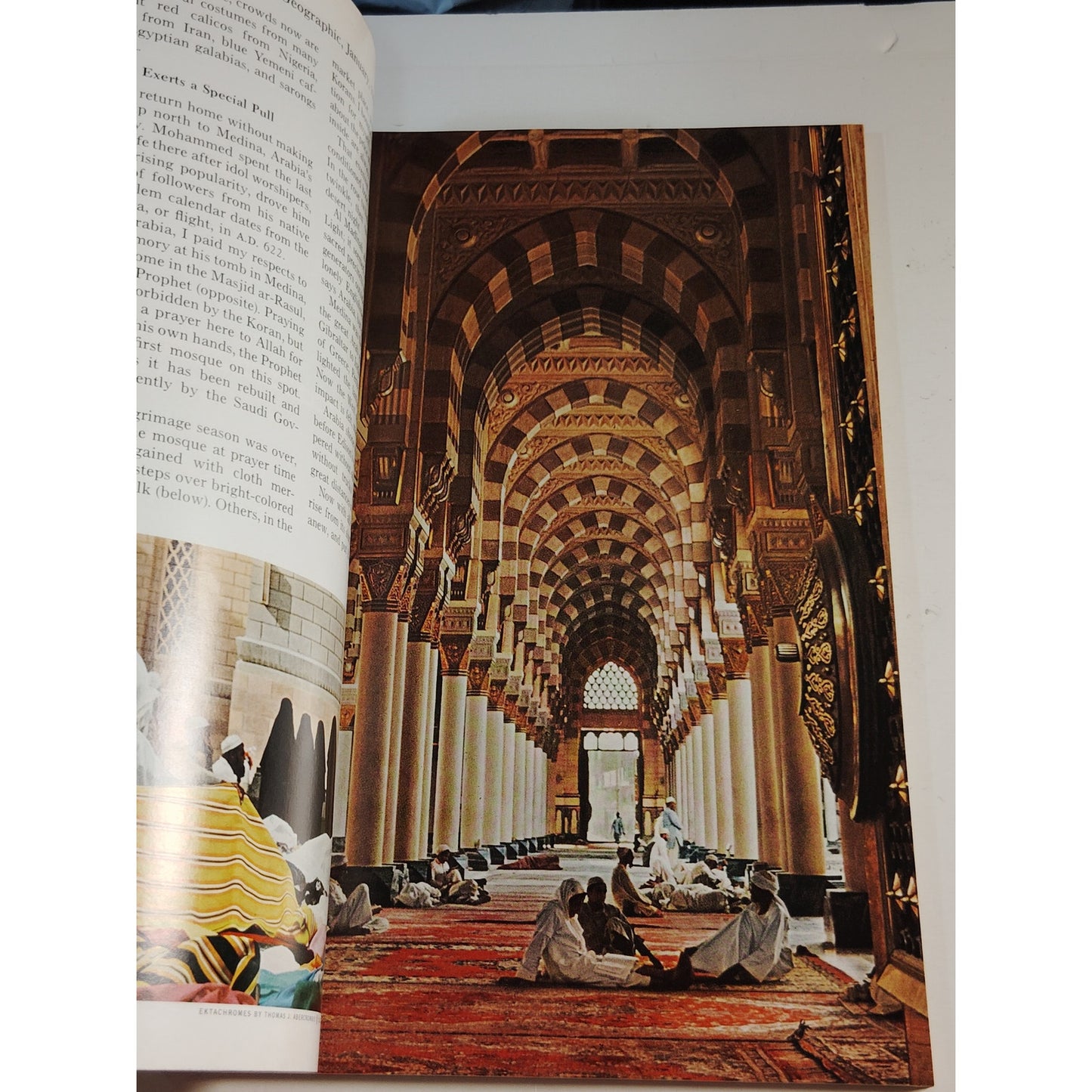 National Geographic January 1966 | Amazon, Saudi Arabia & Antarctic Seals