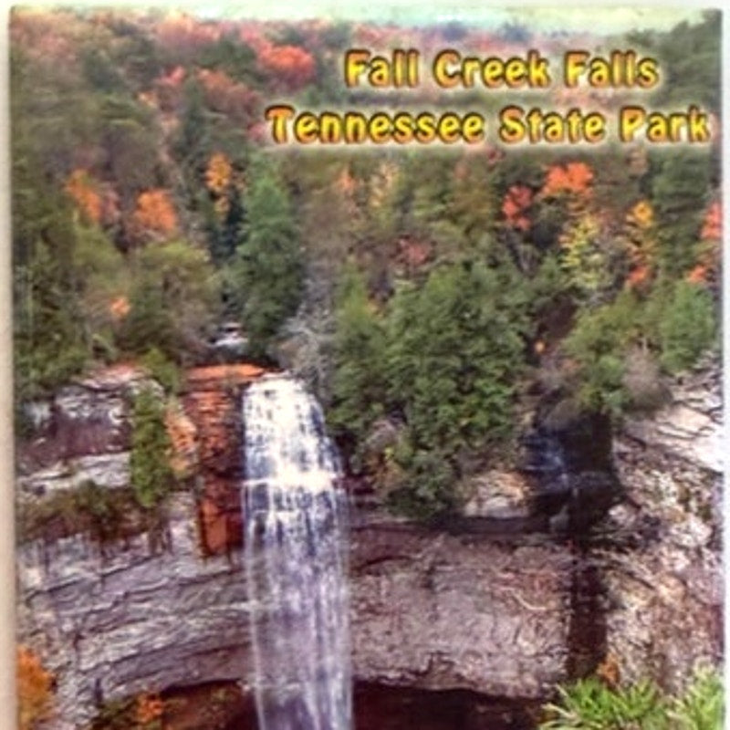 Fall Creek Falls Tennessee State Park Photo Magnet Waterfall Scene 3‑1/8 × 2‑1/8