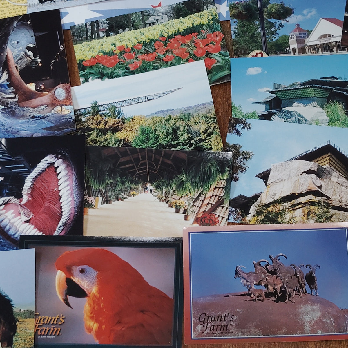 Vintage WI MN ND IA Postcard Lot - Mall of America, Budweiser Clydesdales