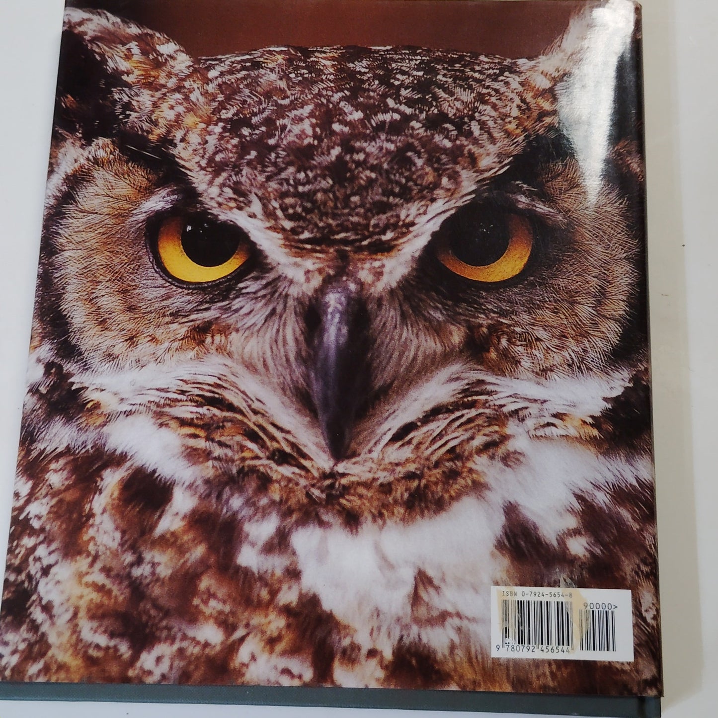 American Zoos 1992 Hardcover Wildlife Photography Book 12.5" x 10.75"