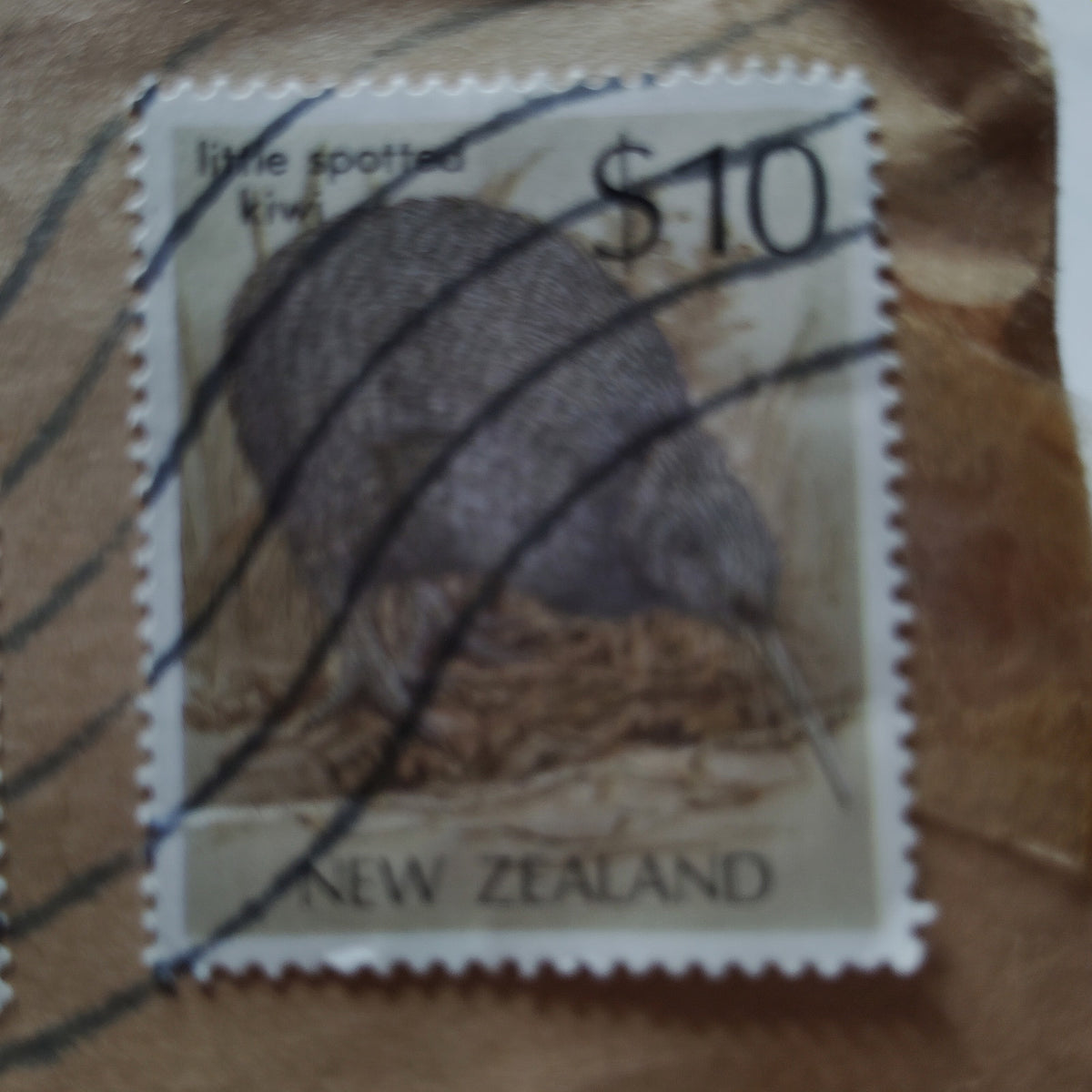 New Zealand 1995 Postal Cover $2 Butterfly & $10 Kiwi Stamps to USA