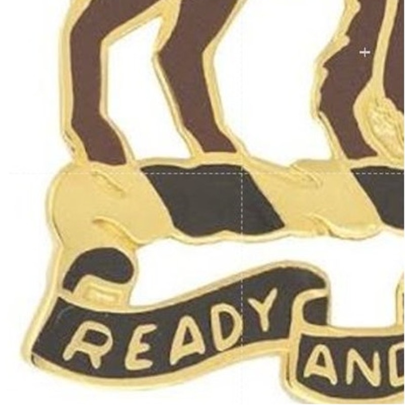 10th Cavalry Regiment Buffalo Soldiers Novelty Hat Lapel Pin 1" × 1"