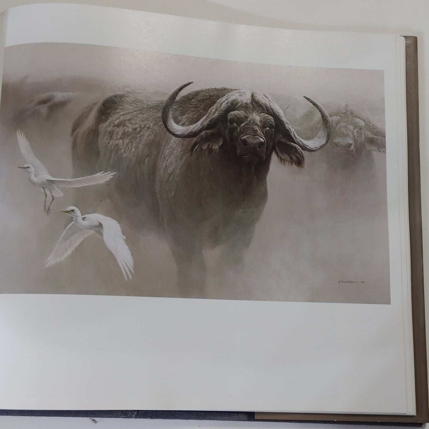 The Art of Robert Bateman 1981 Hardcover Signed Artist 12.25" x 11.5"