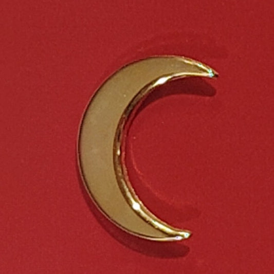 Vanguard U.S. Navy & Coast Guard Collar Device, 1", Muslim Chaplain, Gold Finish